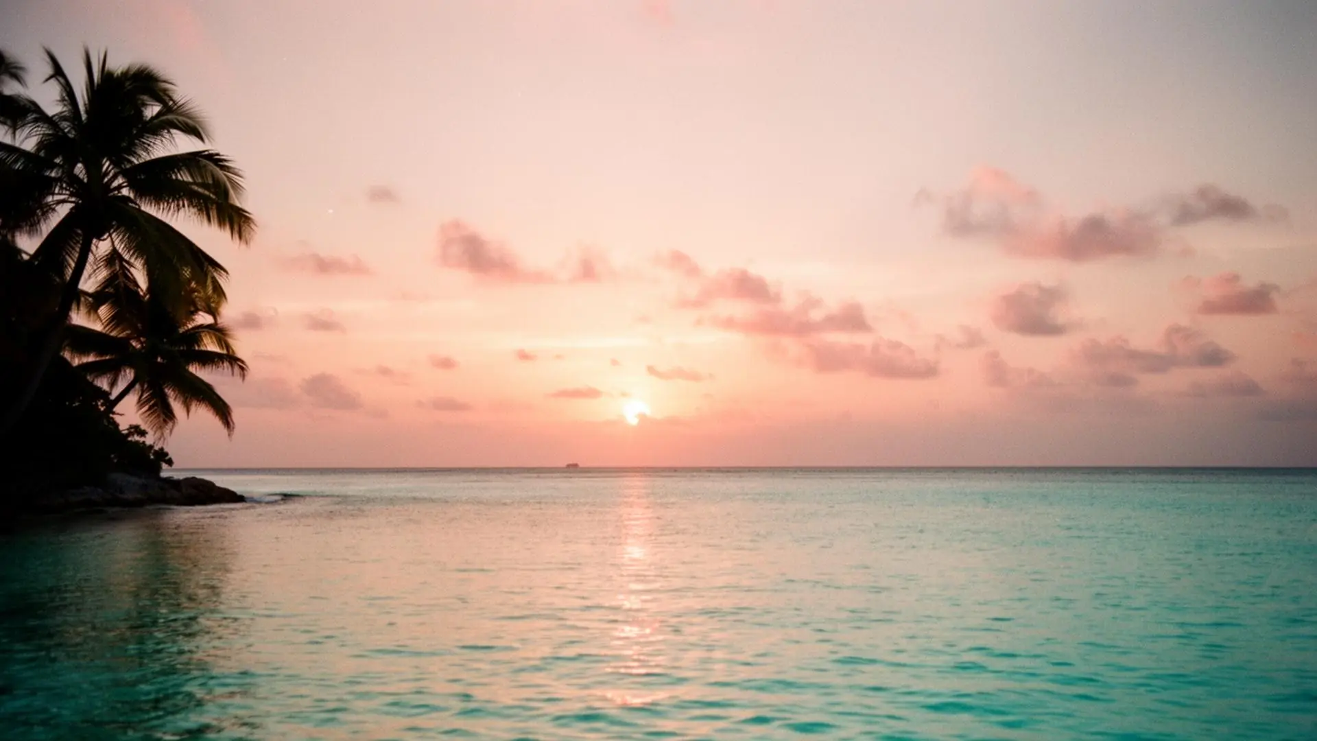 Atardecer caribeño sobre aguas turquesas con palmeras